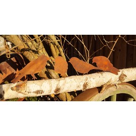 Dewoga Edelrost birds with screw for screwing in wood, 4 birds, metal
