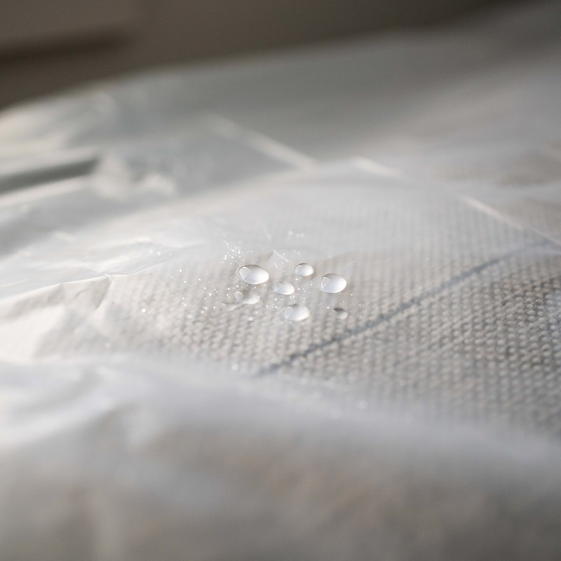 haggiy Furniture Cover - Sofa Cover for Renovation and Moving
