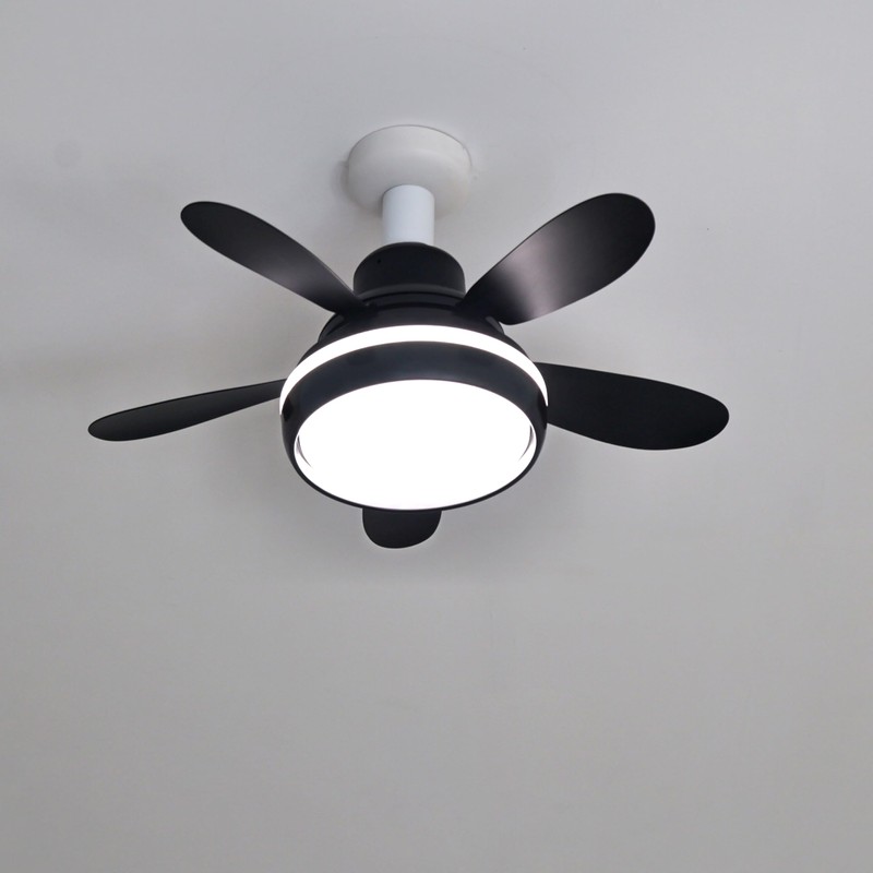 SPARKSOR Plug in Ceiling Fan Light with Remote Control Small