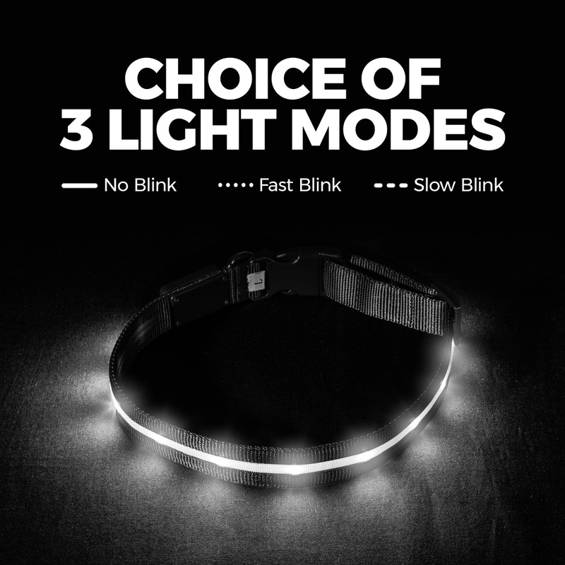 Blazin Light Up Dog Collar - The Original LED Dog