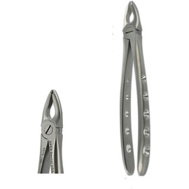 Dental USA 4976 F3 Upper Anterior Forcep