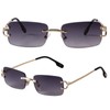 SDinm Small Narrow Rimless Sunglasses Fashion Frameless Rectangle Tinted Lens