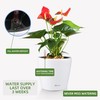 Dexceder 11x10 Inches High Gloss Self Watering Planter Indoor Outdoor,