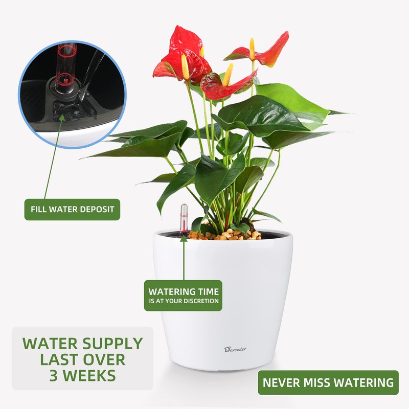 Dexceder 11x10 Inches High Gloss Self Watering Planter Indoor Outdoor,
