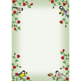 Rose Tendrils with Colourful Birds - Set - 25 Sheets of Writing Paper + 20 Envelopes DIN Long without Window (with Folder)