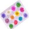 Healvian 2pcs Colors Real Dried Flowers Nail Art Stickers Flower