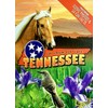 Tennessee Souvenir Playing Cards