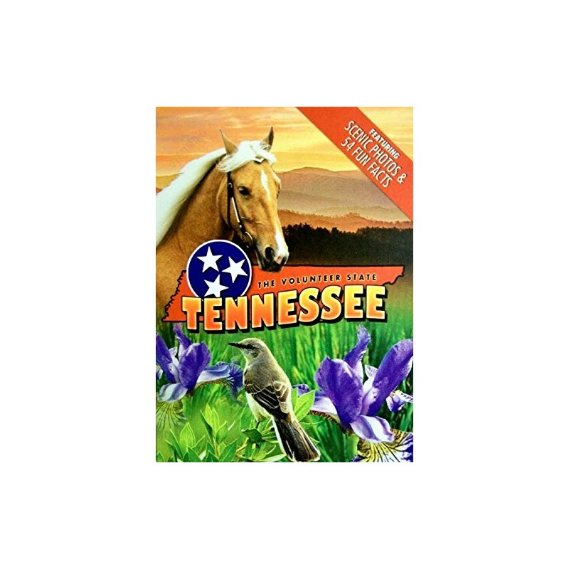 Tennessee Souvenir Playing Cards