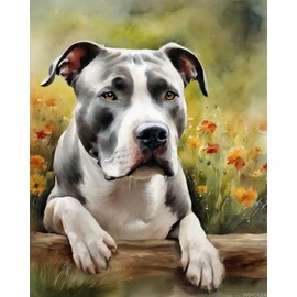 SVINOILER DIY Oil Painting Paint by Number Kit Pitbull Digital Painting Drawing Canvas with Brushes Art Decorations Wall Art 40x50cm