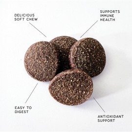 CHAMPS Soft Healthy Dog Treats for Immune Support & Training Snacks Made with Spinach, Cranberry & Kale - Smoky Pork - 16 oz