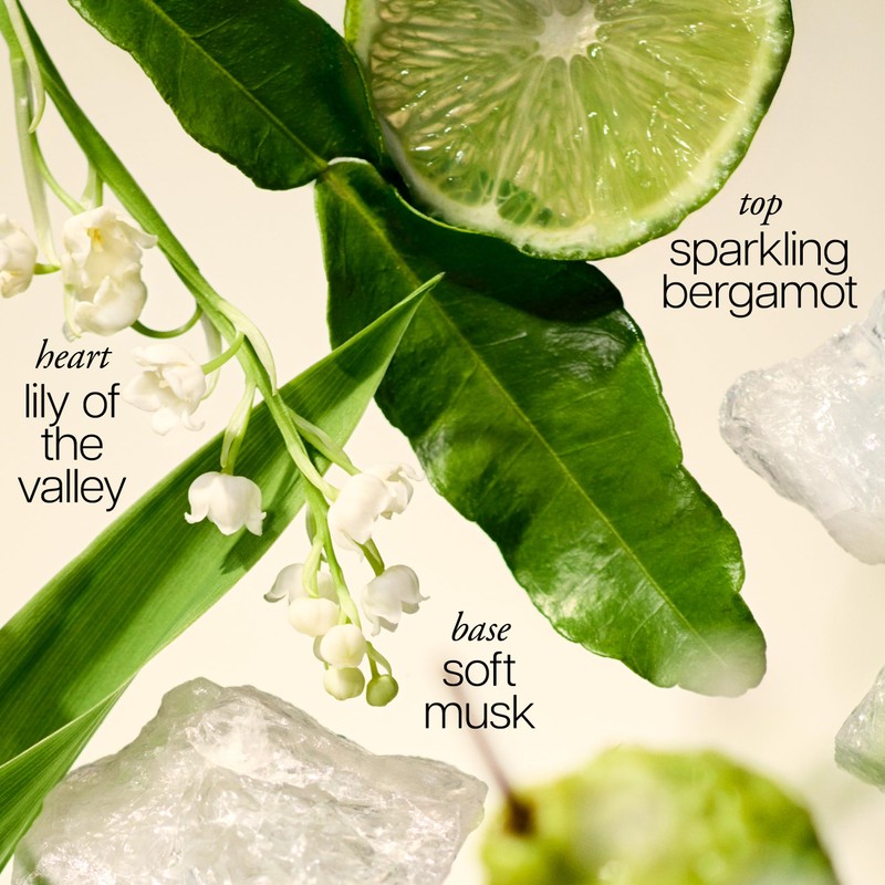 philosophy amazing grace edt rollerball 0.33 fl oz