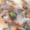Kingsie 180 Pieces Natural Feather Set of 6 Feathers Feathers