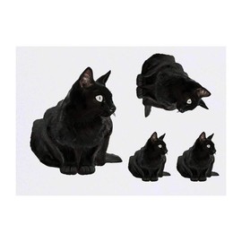 4 x 'Sitting Black Cat' Temporary Tattoos - Water Resistant, Skin-Safe, Non-Toxic Transfers, Mixed Sizes (TO00006666)