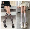eigenn Women's Full Lace High Socks, Patterned, Junior Socks, Openwork,