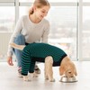 Kuoser Dog Recovery Suit for Back Legs, Soft Dog Surgery