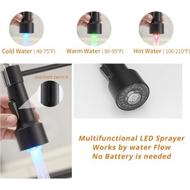 MVMHOME Black and Gold LED Kitchen Faucet with Pull Down Sprayer 1 Hole Mixer Sink Tap