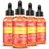 Liposomal Vitamin C 2000 mg Liquid Supplement with Ascorbic Acid,(4