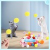 DODHEG 24 Pcs Colorful Pet Balls, Soft Plush Balls, Cat's