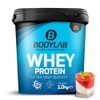 Bodylab24 Whey Protein Pulver, Pannacotta, 1kg