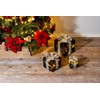 Bambelaa! 3 LED Decorative Gifts Light Boxes Timer Christmas Decoration