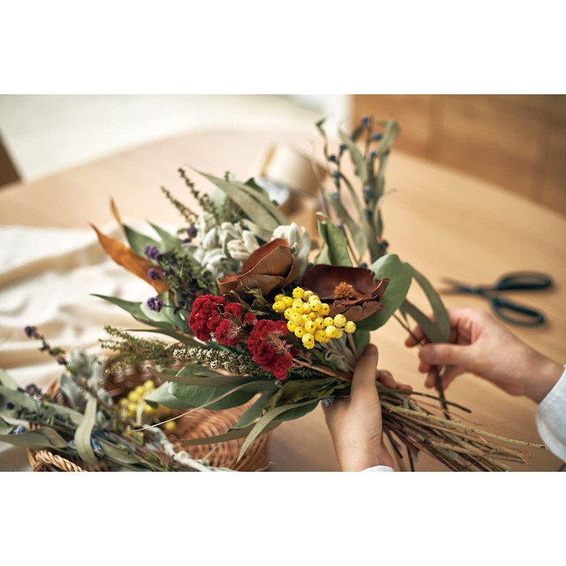 Daichi Farm DO032052-000 Dried Flowers, Immortel, Natural Yellow, Large, Approx.