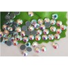 Jollin Hotfix Crystal AB Flatback Rhinestones 4.8mm SS20(1440pcs)