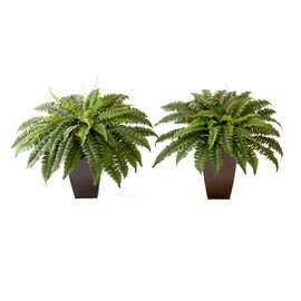 Nearly Natural 23in. Artificial Boston Fern Plant with Tapered Bronze Square Metal Planter DIY KIT (Set of 2)