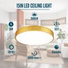 Wheatronic 2 Pack Gold LED Ceiling Light Fixture Flush Mount