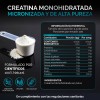 Creatina Monohidratada Micronizada Pura Polvo 500gr Oby Creatine 100 Servicios