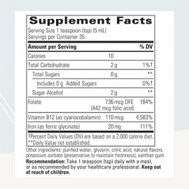 Integrative Therapeutics Liquid Iron - Energy Support Supplement* - with Vitamin B12 & Folate - Liquid Supplement for Convenience - Gluten & Dairy-Free - Apple Cinnamon Flavored, 6 fl oz (35 Servings)