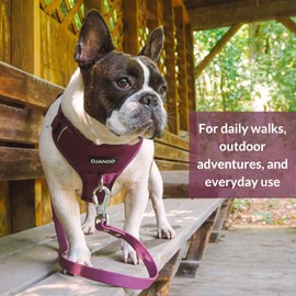 DJANGO Tahoe No Pull Dog Harness – Comfortable, Durable, and Padded Harness with Front and Back D-Rings and Reflective Piping – Adjustable and Secure Design for Everyday Use (Medium, Raspberry Purple)