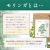 和漢堂 有機モリンガ サプリ 無添加 100% 有機JAS 認証 300mg 120粒 スーパーフード