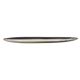 Savage Gear Line Thru Sandeel – Sea Trout Bait for Sea Trout, Sea Trout Lure, Sea Trout Flasher, Sea Trout Wobbler