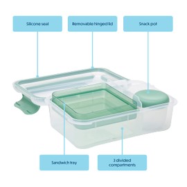 Smash Bento Lunch Box, Fern Green, 1.6 Liter Capacity