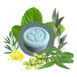Shampoo Solido Orgánico Vegano, No Parabenos Siliconas O Lss                                                                                          