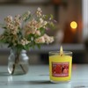 12 Pack Strong Scented Votive Candles Gift Set with 6