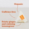 Joe's Tea Feisty Turmeric Guru Organic Pyramid Tea Bags, 15-Count