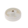 Sioux Chief 2 in. MPT in. PVC Clean-Out Plug