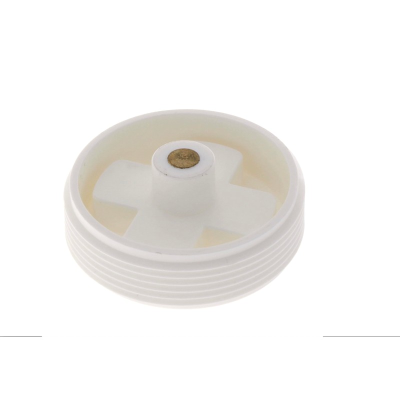 Sioux Chief 2 in. MPT in. PVC Clean-Out Plug