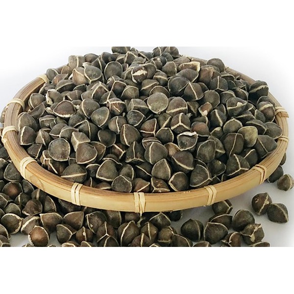 100 Moringa Seed - Oleifera Drumstick Seeds Non-GMO for Sprouting, Planting, Cooking. Unprocessed Seeds