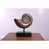 Large Nautilus Shell Sculpture Verde Bronze Finish