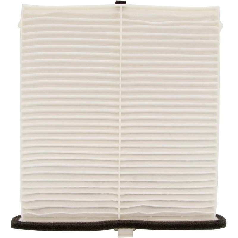 Ecogard XC10189 Filtro de aire de cabina premium para coche
