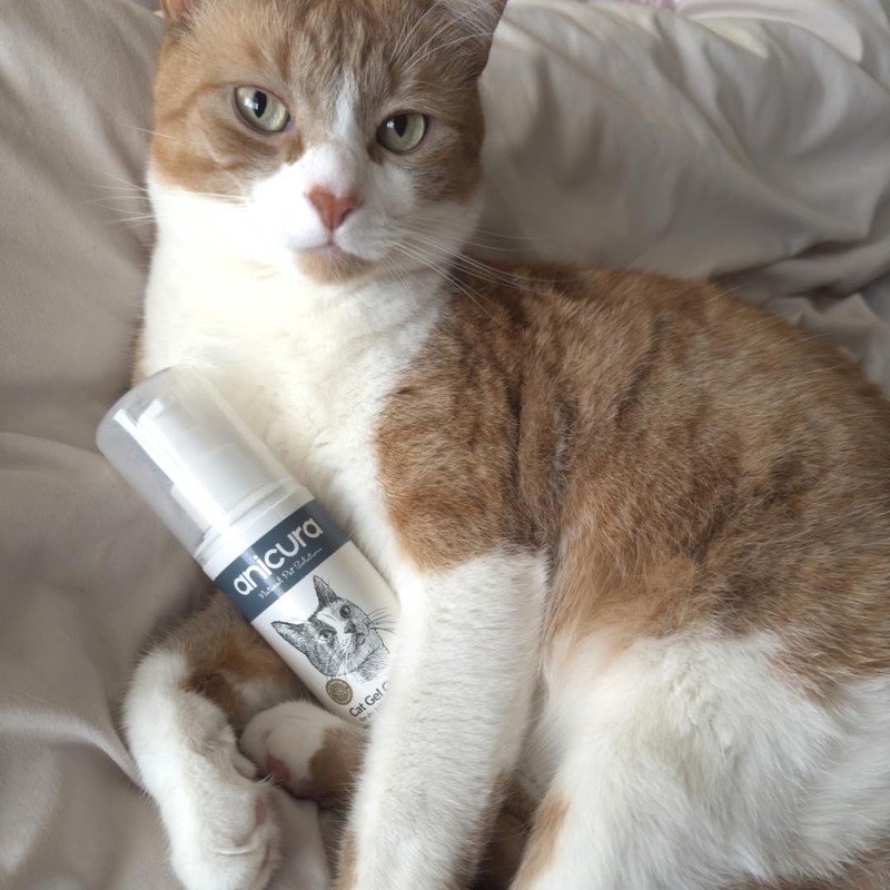 Anicura Cat Skin Ointment – soothes dry, itchy skin, hot