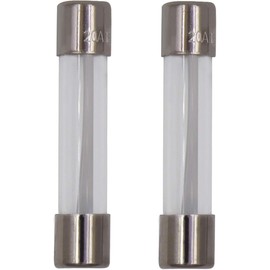 2 Pcs 5304509451 Microwave Fuses 20a 125v for Frigidaire Microwaves,Applicable for GE WB27X11138 WB27X10388 PS5136235 00469295 30469294 50462164 PS5136235 AP5648907 Microwaves Oven Fuse 6x30mm