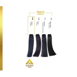 Alternative Care Tinte en Crema Profesional para Cabello Mujer, Tintes HAIR SOLUTION GOLD con Oxidante en Crema, Tinte para Cabello Mujer 90g + Oxidante 90ml, Tinte Cabello Permanente (Color 1.08 - Pantera)