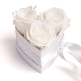 Rosemarie Schulz Heidelberg Infinity Rose Box in Heart Shape with Preserved Roses in Red Valentine's Day Gift