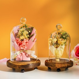 ZEERSHEE Pack 2 Clear Glass Dome with Wooden Base Glass Display Cloche Bell Shape Dome for Antique Collectibles Specimens Plants Dustproof Christmas Gift for Women