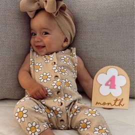 ZAIBIANHAO Daisy Milestone Photo Props Baby Disc - Flower Theme First Birthday Wooden Cards Sign,Baby Announcement Sign for Baby Shower Girls,Monthly Markers Wooden Plaques with 12 Pink Numbers