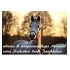 Lead rope with panic hook for horse in various stylish