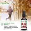 2-Pack Organic Liquid B12 Methylcobalamin Drops